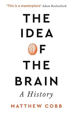 The Idea OF The Brain