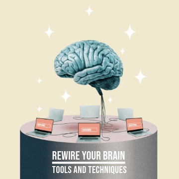 Neuroplasticity The Brain Innovation Project