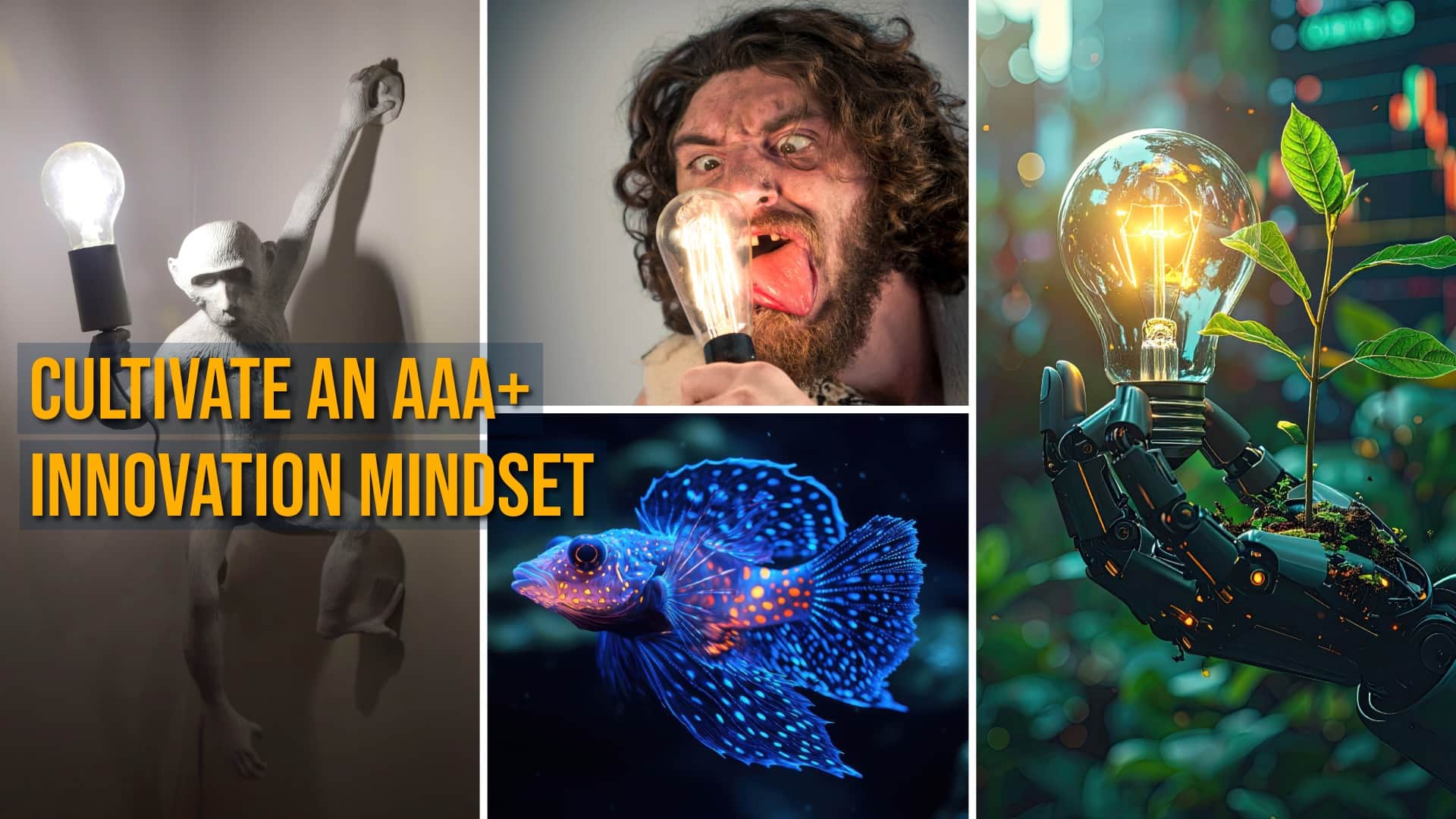 Website Pictures and Videos-53-Innovation from nature-min Website Pictures and Videos 53 Innovation from nature min